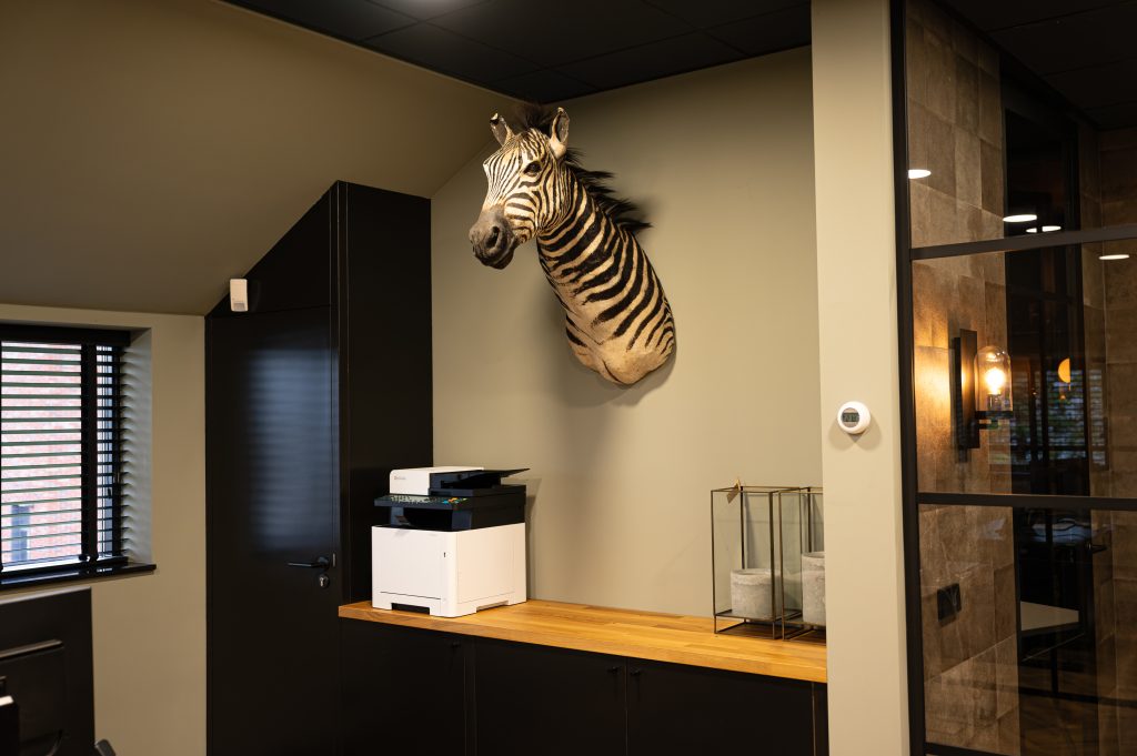 NewWay_ MadelonDesign_JMU_007